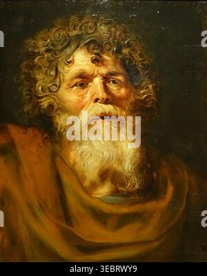 Tête d'un vieil homme de Pieter Pauwel Rubens (1577-1640). Huile sur panneau. Musée de l'Ermitage. La peinture est un fragment d'une étude de vie de Rubens. Il a été utilisé par l'artiste pour la tête de Ponce Pilate. Banque D'Images