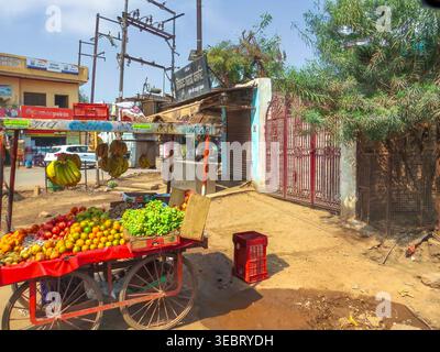Gwalior, Inde, 21.02.20. Une scène dynamique en bord de route avec un chariot de vendeur rempli de raisins verts frais, de bananes et de pommes sur un chemin poussiéreux dans le M Banque D'Images