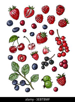 Croquis vectoriel de nourriture. Baies, bleuets, cerises, fraises, groseilles Illustration de Vecteur