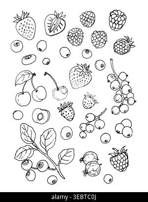 Croquis vectoriel de nourriture. Baies, bleuets, cerises, fraises, groseilles Illustration de Vecteur