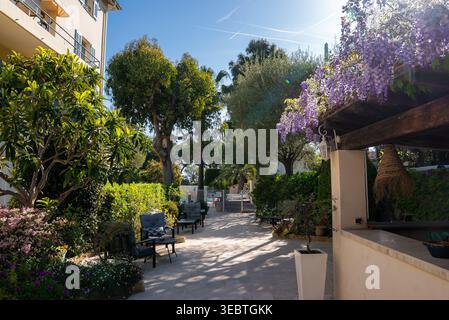 Terrasse de jardin ensoleillée avec wisteria et bar à Antibes, France Banque D'Images