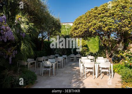 Terrasse de salle à manger dans la cour à Antibes avec une wisteria et des toits de tuiles Banque D'Images