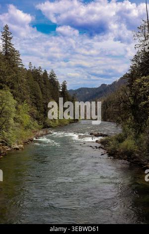 Vue panoramique d'une rivière forestière luxuriante qui coule sous un ciel bleu nuageux Banque D'Images