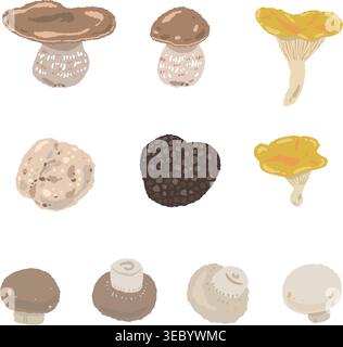 Divers assortiment de champignons occidentaux illustration vectorielle dessinée à la main Illustration de Vecteur