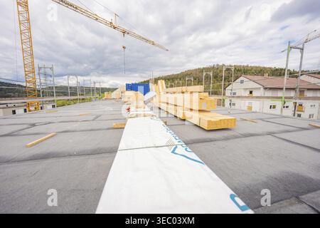 Matériaux de construction et grues sur un grand chantier, rénovation résidentielle, Nagold, district de Calw, Allemagne Banque D'Images