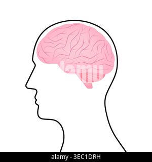 Cerveau. Tête avec cerveau humain. Illustration vectorielle isolée sur fond blanc. Illustration de Vecteur