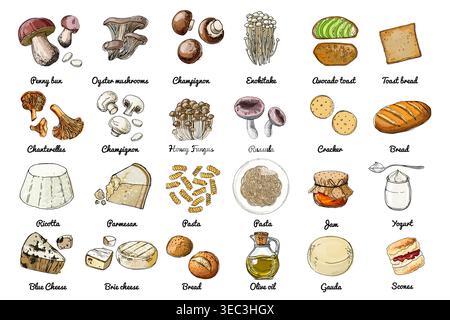 Icônes de nourriture vectorielle. Croquis coloré de produits alimentaires. Champignons, fromages, pâtes, beurre de pain Illustration de Vecteur
