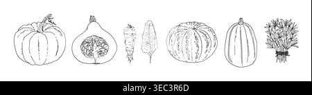 Légumes de ligne dessinée à la main - ensemble de vecteur de style d'esquisse Illustration de Vecteur
