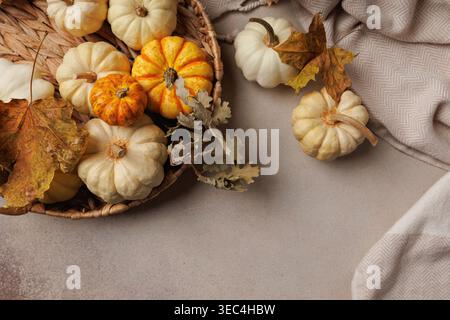 Pose plate naturelle de mini citrouilles et de feuilles sèches sur tissu neutre chaud Banque D'Images