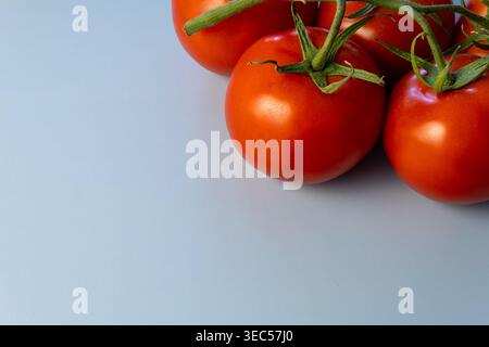 Tomates sur la vigne dans le coin de l'image avec espace de copie sur fond plat Banque D'Images