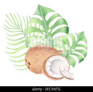 Noix de coco et feuilles tropicales, aquarelle et illustration au crayon de couleur Banque D'Images