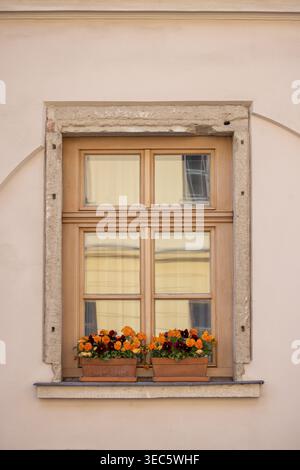 Fenêtre aux tons chauds encadrée de pierre. Deux boîtes à fleurs contiennent des fleurs d'orange vives. Les pétales fleurissent contre le mur beige doux. Le charme simple et rustique invite CA Banque D'Images
