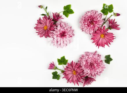 Belles fleurs roses sur fond blanc. Composition de fleurs. Concept floral d'été. Pose à plat, espace de copie. Banque D'Images