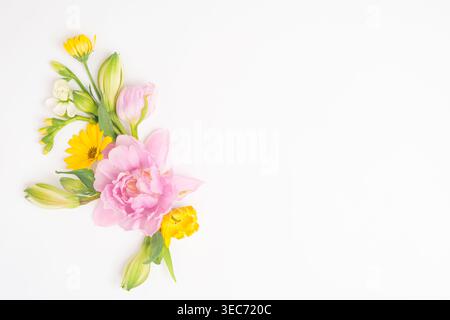 Pose plate de pivoine rose, tulipe, ranoncule et fleurs de printemps sur un fond blanc, vue de dessus, composition claire et nette, espace copie, arrangement floral Banque D'Images
