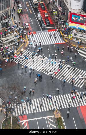 Shibuya Crossing, passage piétonnier le plus fréquenté du monde, Tokyo, Kanto, Japon Banque D'Images