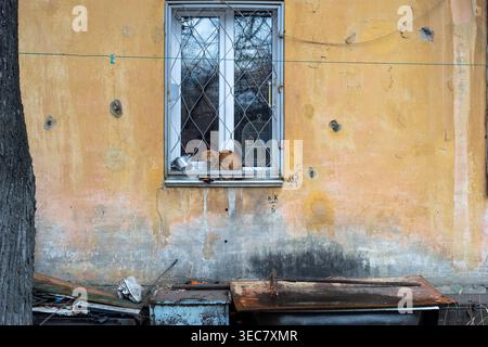 Un chat gingembre est assis sur un rebord de fenêtre étroit derrière une grille métallique contre un mur jaune altéré, entouré de peinture écaillée, de métal rouillé et de débris. Banque D'Images