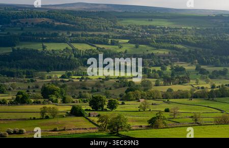 Vue surélevée sur les terres agricoles verdoyantes de Wensleydale avec murs en pierre sèche, granges dispersées et bois dans une lumière douce Banque D'Images