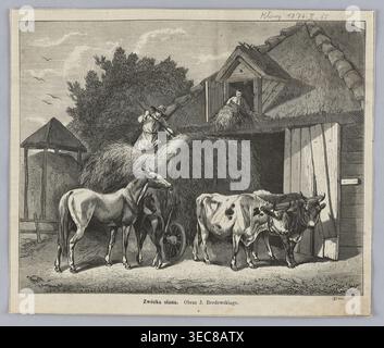 Reproduction d'une peinture : Józef Brodowski 1828–1900, chariot à foin, 1874 ; peinture ; peinture polonaise; reproduction ; art graphique ; illustration de presse ; objet : chevaux, bœufs, boeufs yoked, villages., Une scène rurale en niveaux de gris montre un groupe d'animaux et de personnes autour d'une grande pile de foin devant un bâtiment au toit de chaume. Un cheval et un poulain se tiennent à côté d'un chariot à roues en bois partiellement caché par le foin, et une paire de bœufs attachés ensemble se tiennent près d'une grande porte en bois ouverte. Deux personnages travaillent avec le foin : une personne se tient au sommet de la pile à l'aide d'une fourche tandis qu'une autre se penche à partir d'une petite ouverture de foin Banque D'Images