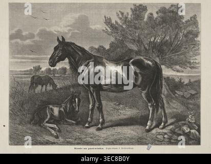Reproduction d'un tableau : Józef Brodowski 1828–1900, chevaux dans le pâturage ; 1873 ; peinture ; reproduction ; artiste gravé sur bois : Bronisław PUC fl. 1867–1891 ; sujets : animaux, poulains ; style : peinture polonaise ; graphisme; illustration de presse ; reproduction d'une œuvre d'art ; Varsovie., Une illustration détaillée en noir et blanc montre un grand cheval debout au premier plan avec un cheval plus petit couché sur le sol à proximité ; les deux animaux présentent un ombrage brillant et des contours musculaires visibles. Au milieu du sol, un troisième cheval pèle parmi les hautes herbes. Un grand arbre avec de nombreuses branches et des feuilles texturées se tient derrière Banque D'Images