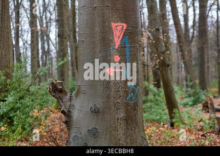 Hêtre commun (Fagus sylvatica), un point d'exclamation rouge sur un tronc d'arbre dans la forêt avertissant de la chute de branches, Allemagne, Rhénanie du Nord-Westphalie, Sau Banque D'Images