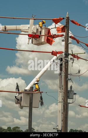 Deux conducteurs de lignes de service public travaillent à partir de camions-bennes pour l'entretien des lignes aériennes de distribution électrique sur un poteau de service public en bois. Ligne isolée orange vif co Banque D'Images