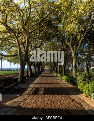 Charleston, SC - US - 27 mars 2026 avenue ensoleillée de chênes lignes un chemin de briques dans Waterfront Park, Charleston, projetant de longues ombres vers le port, wi Banque D'Images