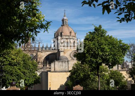 Le dôme de la cathédrale du Saint-Sauveur Cathédrale catholique situé à Jerez de la Frontera, Andalousie, sud de l'Espagne. Banque D'Images