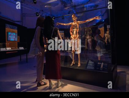 Moscou, Russie -, 18 juin 2021 : des femmes explorent l'anatomie humaine à l'exposition Body Worlds à Moscou lors d'une visite éducative Banque D'Images