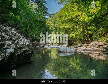 La rivière claire serpente à travers une vallée forestière dense et verdoyante, la lumière du soleil illuminant le riche feuillage et le lit rocheux de la rivière Banque D'Images