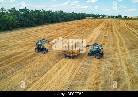 Les agriculteurs travaillent ensemble pour ramasser les balles de foin à l'aide de tracteurs dans un champ ensoleillé à la fin de l'été Banque D'Images
