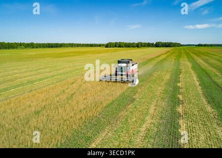 La vue aérienne capture la puissante moissonneuse-batteuse rassemble les récoltes sur un vaste champ vert sous un ciel bleu clair lors d'une journée ensoleillée à proximité Banque D'Images