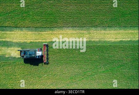 La vue aérienne capture la puissante moissonneuse-batteuse rassemble les récoltes sur un vaste champ vert sous un ciel bleu clair lors d'une journée ensoleillée à proximité Banque D'Images