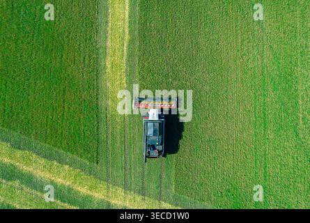 La vue aérienne capture la puissante moissonneuse-batteuse rassemble les récoltes sur un vaste champ vert sous un ciel bleu clair lors d'une journée ensoleillée à proximité Banque D'Images