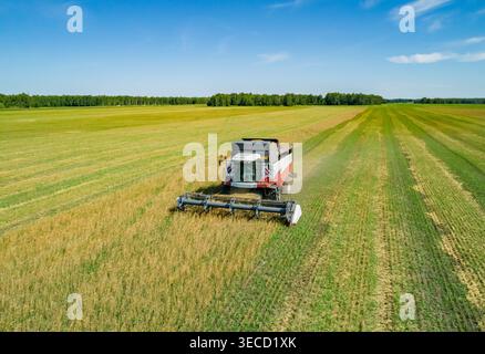 La vue aérienne capture la puissante moissonneuse-batteuse rassemble les récoltes sur un vaste champ vert sous un ciel bleu clair lors d'une journée ensoleillée à proximité Banque D'Images