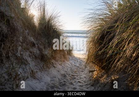 sentier de sable à travers les dunes côtières menant à la plage de l'océan avec les vagues et la lumière du soleil Banque D'Images