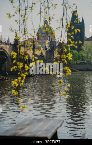 Vue de Prague avec le pont Charles et les arbres près de la rivière pendant la journée sans personnes Banque D'Images
