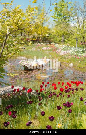 Bateau en bois décoré de fleurs sur un étang de nénuphars, entouré de tulipes rouges et violettes et d'arbres printaniers frais dans un parc public pittoresque. Banque D'Images
