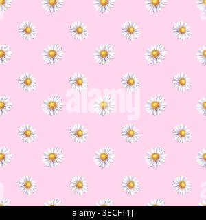 Un motif sans couture délicat et joyeux avec des marguerites à l'aquarelle peintes à la main (camomille) dispersées sur un fond rose pastel doux. Ceci Banque D'Images