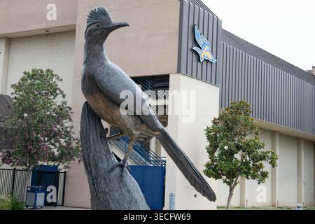 Une statue en bronze d'un coureur de route, la mascotte de l'école, dans Harvey Hall Plaza sur le campus de l'Université d'État de Californie Bakersfield. Banque D'Images
