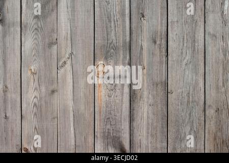 Texture de fond plein cadre macro horizontale de vieilles planches murales en bois gris altérées avec des fissures et des nœuds Banque D'Images