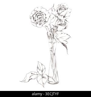 Fleurs de rose dessinées à la main et arrangement de feuilles dans un grand vase en verre transparent. Illustration isolée dessinée à la main au crayon, ombrage fusain. Salutation Banque D'Images