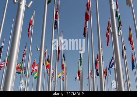 Flag Plaza, Doha, Qatar - 22 janvier 2026 : photographie de jour représentant une forêt dense de mâts de drapeau argentés et divers drapeaux nationaux agitant Banque D'Images
