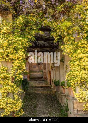 Archway en pierre couvert de fleurs jaunes et Wisteria sur un chemin de jardin pavé, jardins de l'Alhambra, Grenade, Espagne Banque D'Images