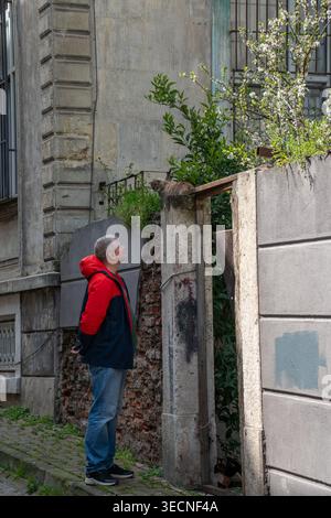 Istanbul, Turquie – 1er avril 2026 : Homme en veste rouge se tient dans la rue à Balat et regarde vers un chat sur un mur près d’un vieux bâtiment à la façade usée et Banque D'Images