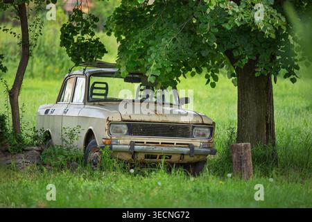 Voiture vintage rouillée abandonnée sous l'arbre dans le champ vert envahi par la végétation évoquant la décomposition rurale Banque D'Images