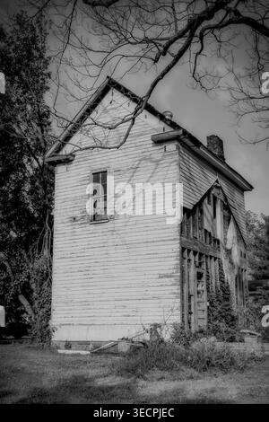 Photo en noir et blanc d'une vieille maison abandonnée en bois avec peinture pelable et poutres apparentes entourées d'arbres et d'herbe envahie Banque D'Images
