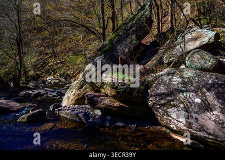 Kaaterskill Falls - forêt et l'un des plus beaux bassins d'eau des États-Unis par un jour de printemps ensoleillé ; Catskill Mountains, Hunter, New York Banque D'Images
