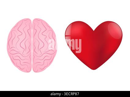 Concept cerveau et coeur. Illustration vectorielle. Illustration de Vecteur