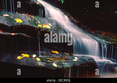 Photo filmée d'une cascade en cascade sur un petit ruisseau sans nom dans les Blue Ridge Mountains, Caroline du Nord, avec de l'eau qui coule sur des surfaces rocheuses et un Banque D'Images