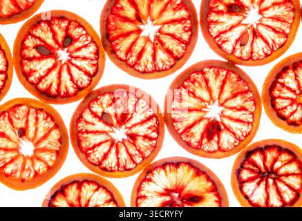 Tranches d'orange sanguine vibrantes disposées en un motif répétitif sur un fond blanc brillant, mettant en valeur la texture juteuse d'agrumes et le marbrage rouge pour le f frais Banque D'Images